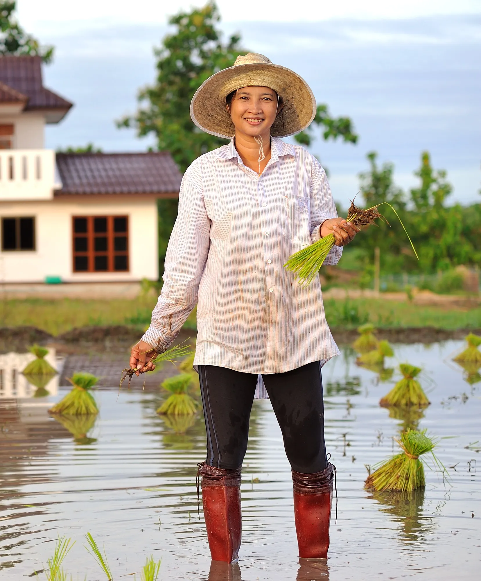 สิทธิมนุษยชน